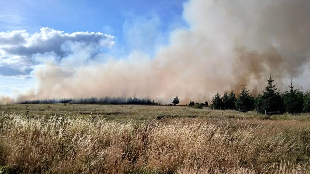 Mise à jour publiée sur les feux de forêt de Llanwonno à titre d'avis de sécurité émis par le public