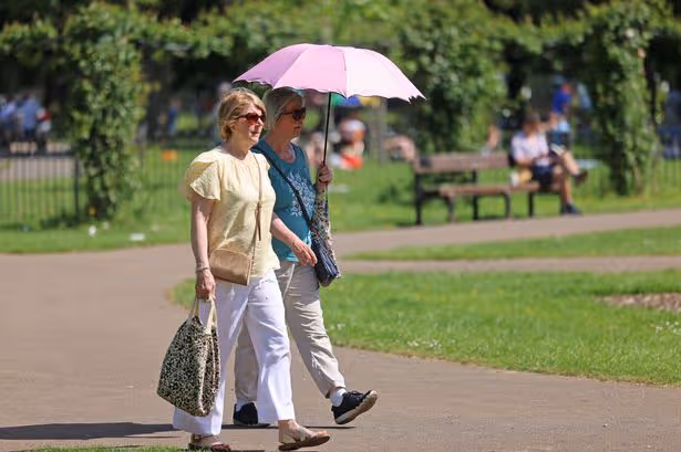 Council review into how city coped in extreme heat