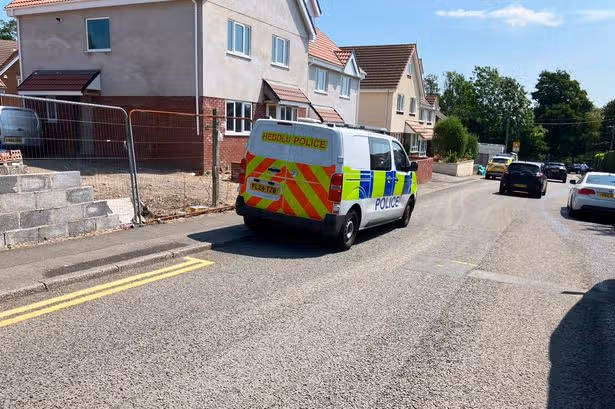 Latest Gorseinon murder investigation update as police make more arrests