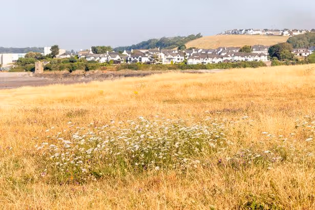 Met Office prévoit la pluie pour certaines régions du pays de Galles - mais pas beaucoup et il sera sec pour la plupart
