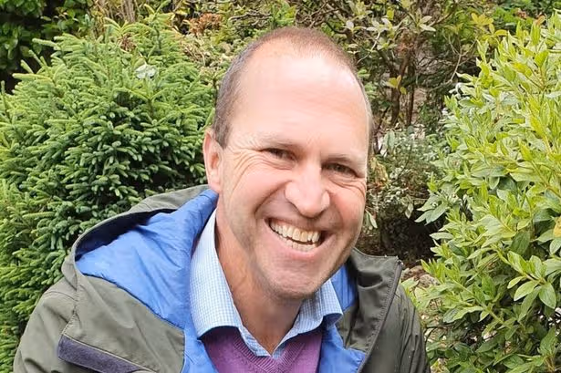 'I'm a professional gardener – never do three things in a heatwave'