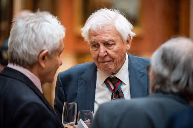 L'avertissement de David Attenborough à 15 millions de propriétaires de chiens au Royaume-Uni