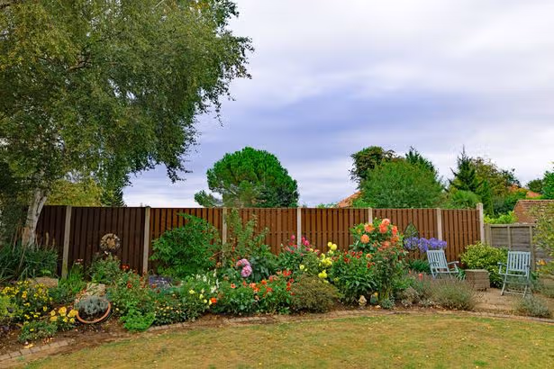 Who owns which side of the garden fence? How to check and avoid neighbour disputes