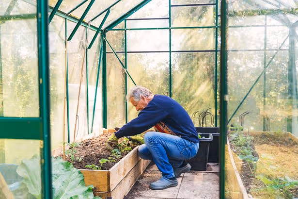 BBC Gardeners’ النجمة العالمية تقول أن الجميع يجب أن يزرع شيئاً واحداً هذا الشهر