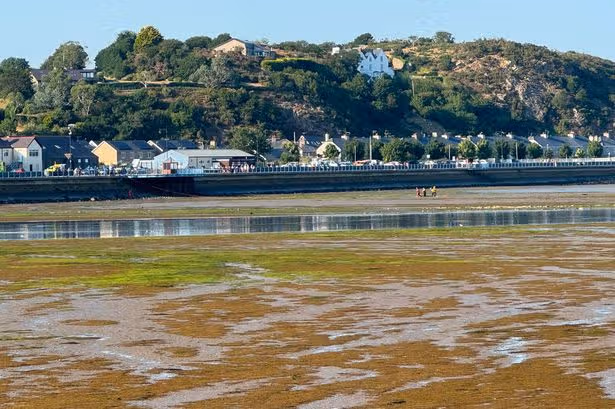 L'homme secouru après avoir été pris au piège dans la boue au port gallois