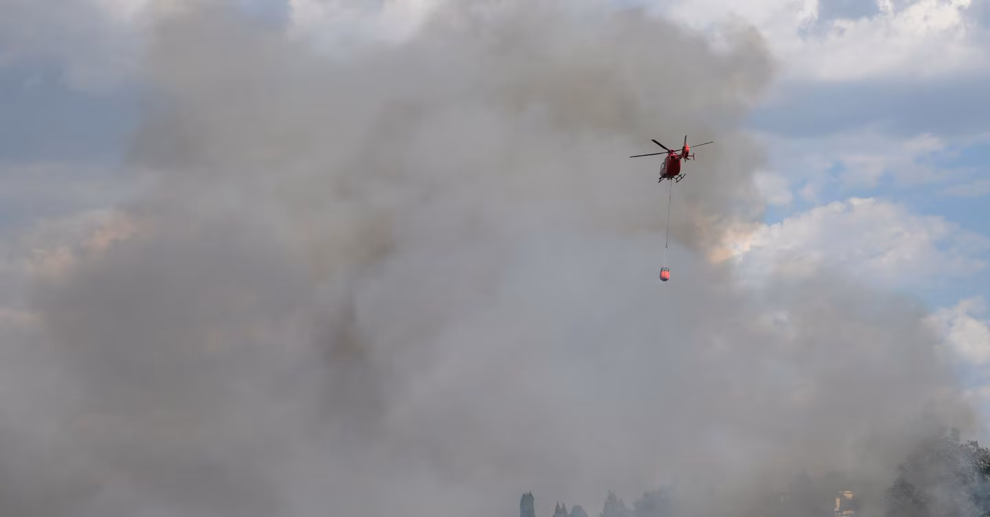 The Piedmont Region: 'The fires are causing an ecological disaster'