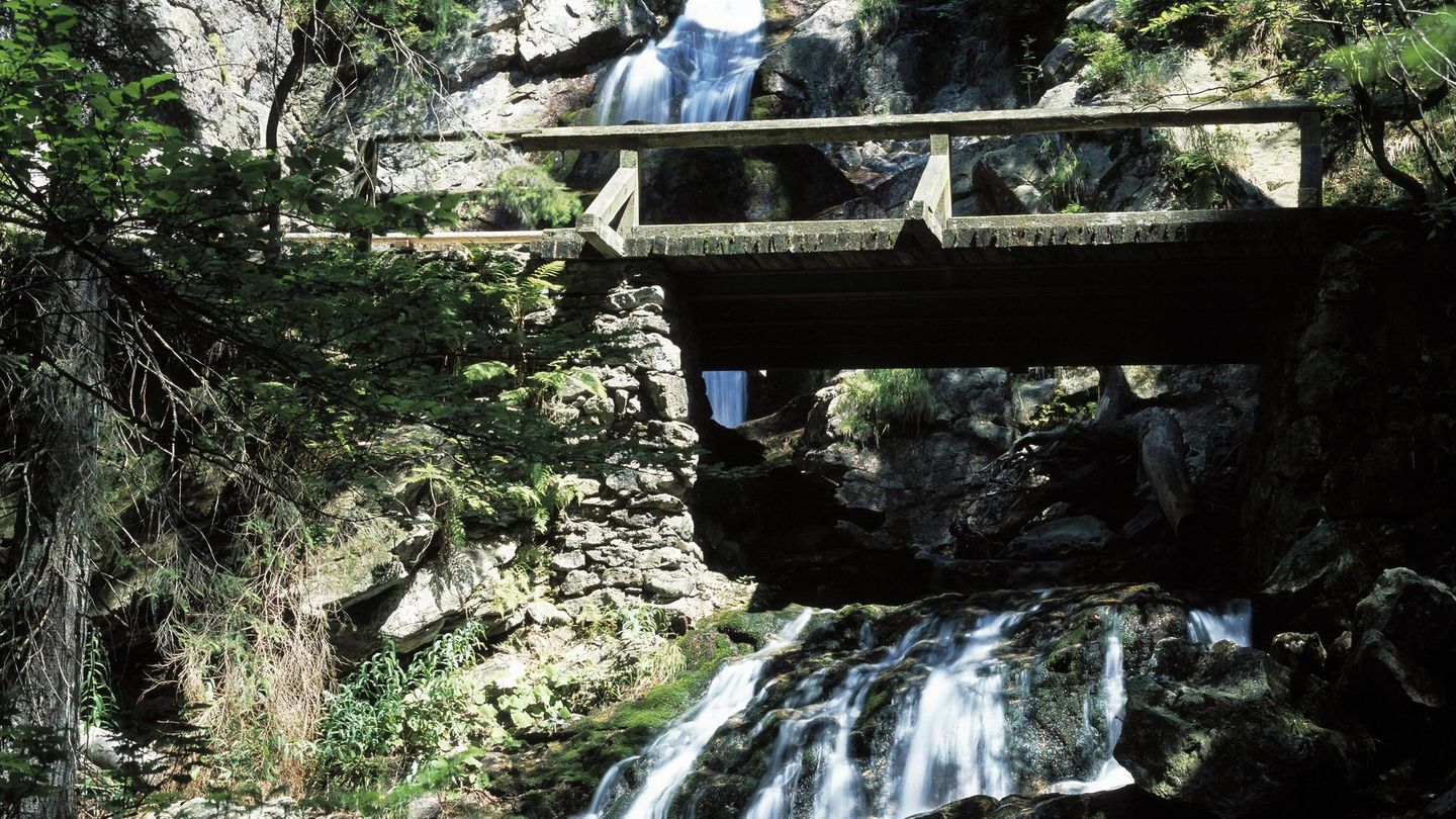 Stern