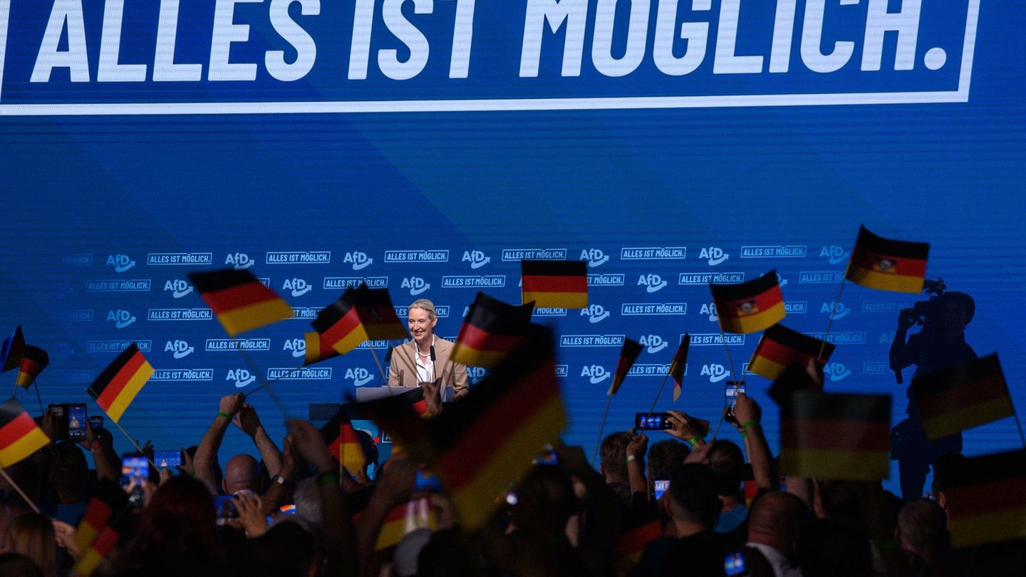 Stern – Politik