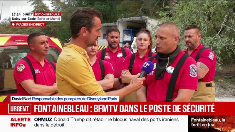 Fire in the forest of Fontainebleau: the firefighters of Disneyland Paris in reinforcement