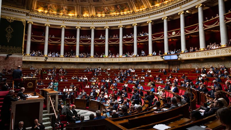 Presumption of self-defence for police officers: the government passes in force and triggers the blocked vote