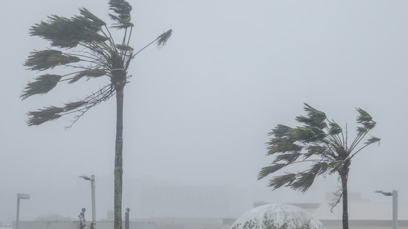 Typhoon Bavi makes landfall in eastern China, over 1 million evacuated