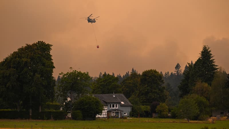 Europa sufre por la ola de incendios: Grecia, España y Bélgica los países más complicados