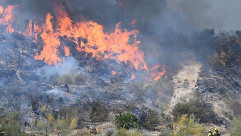 Fires in Spain: French woman among missing persons