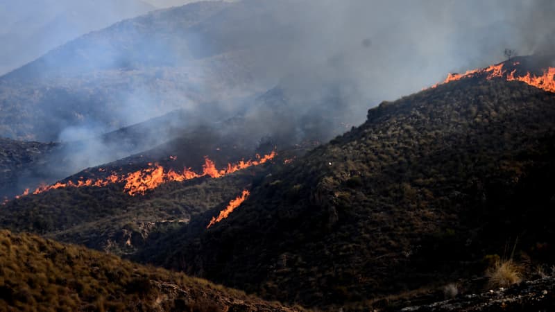 Fire in Spain: 6,600 hectares burned, "favourable evolution" of fire during the night