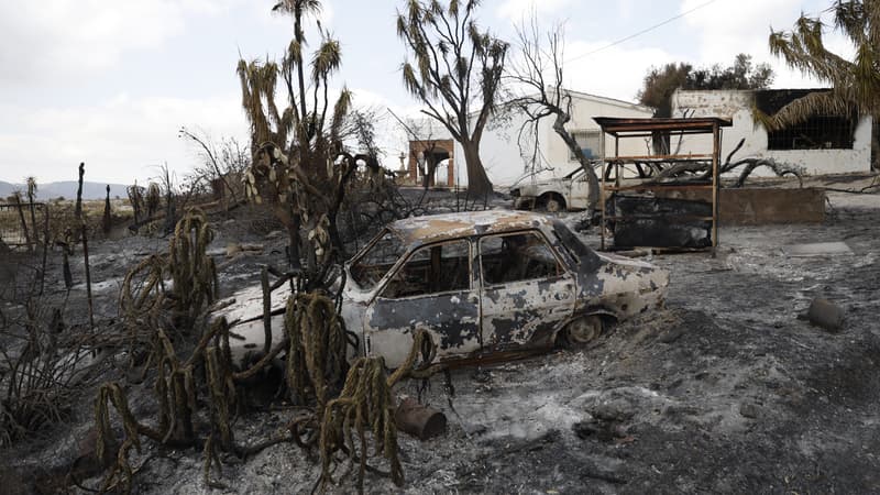 Seven Britons among 12 foreign nationals killed in Spain’s deadly wildfires