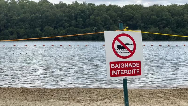 Heat: 131 people have died by drowning since 19 June