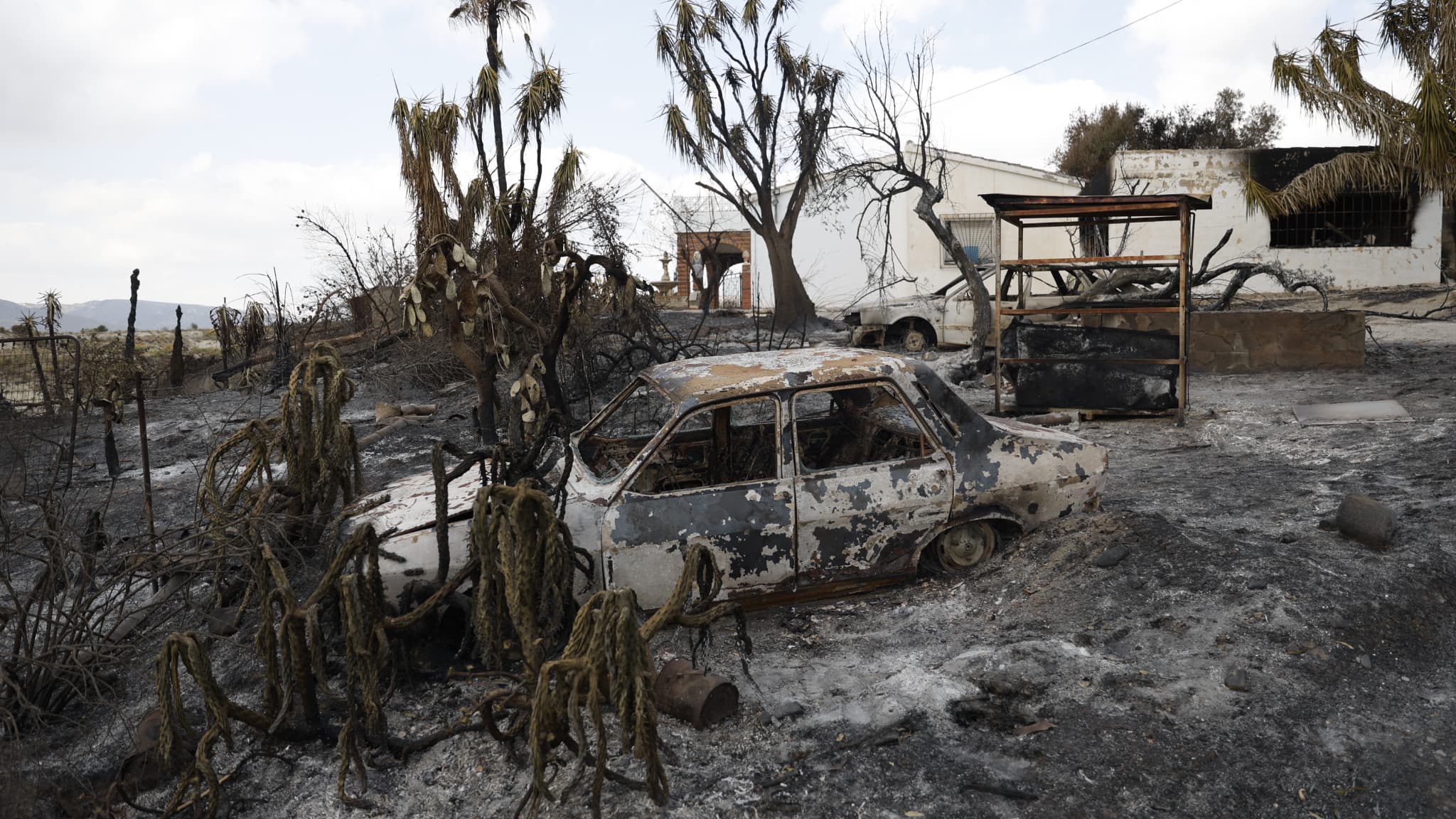 British man dies in Spain wildfires while on the phone to his wife after trying to rescue pets