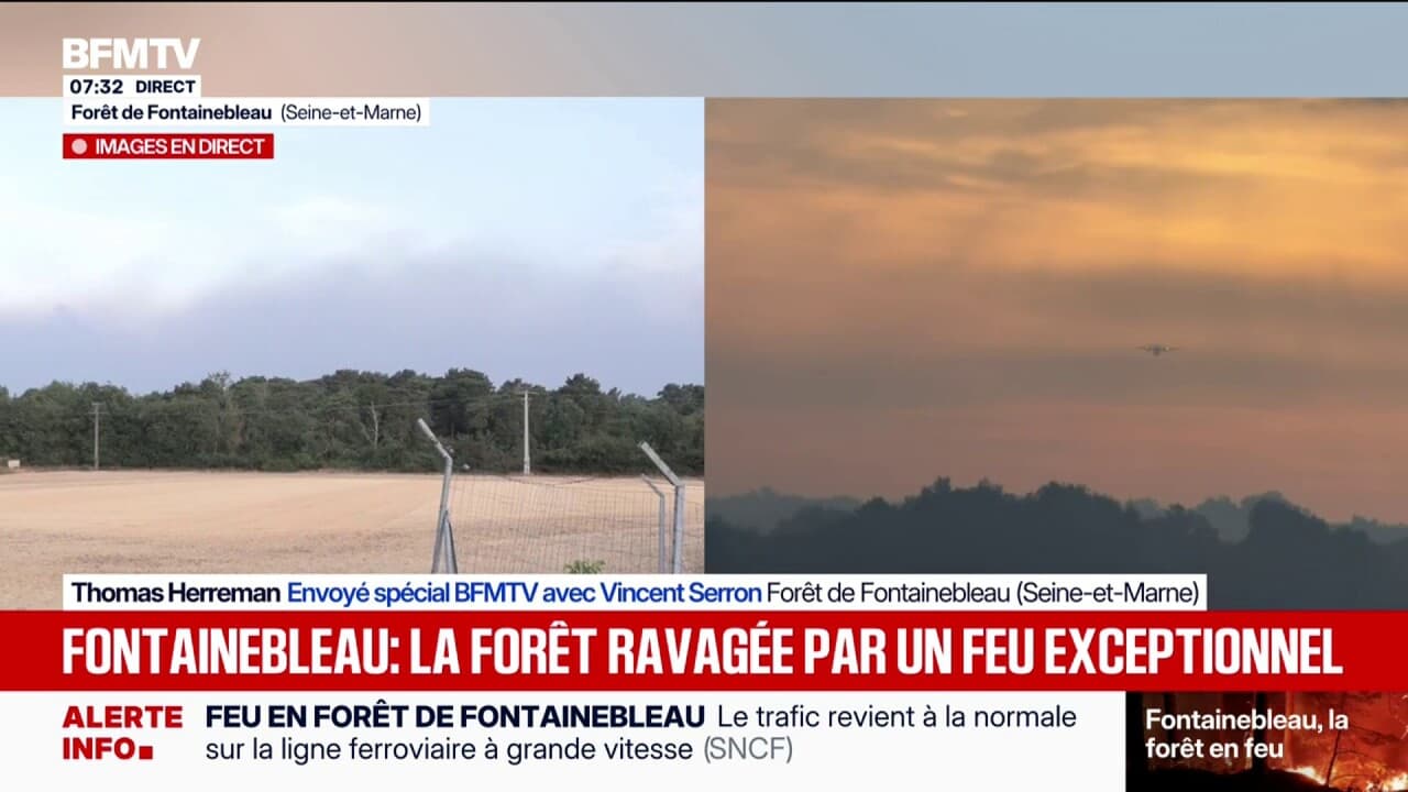 BFMTV — News 24/7