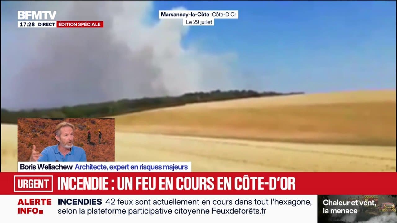 Incendies en Gironde: d'importantes reprises de feu à Blagon