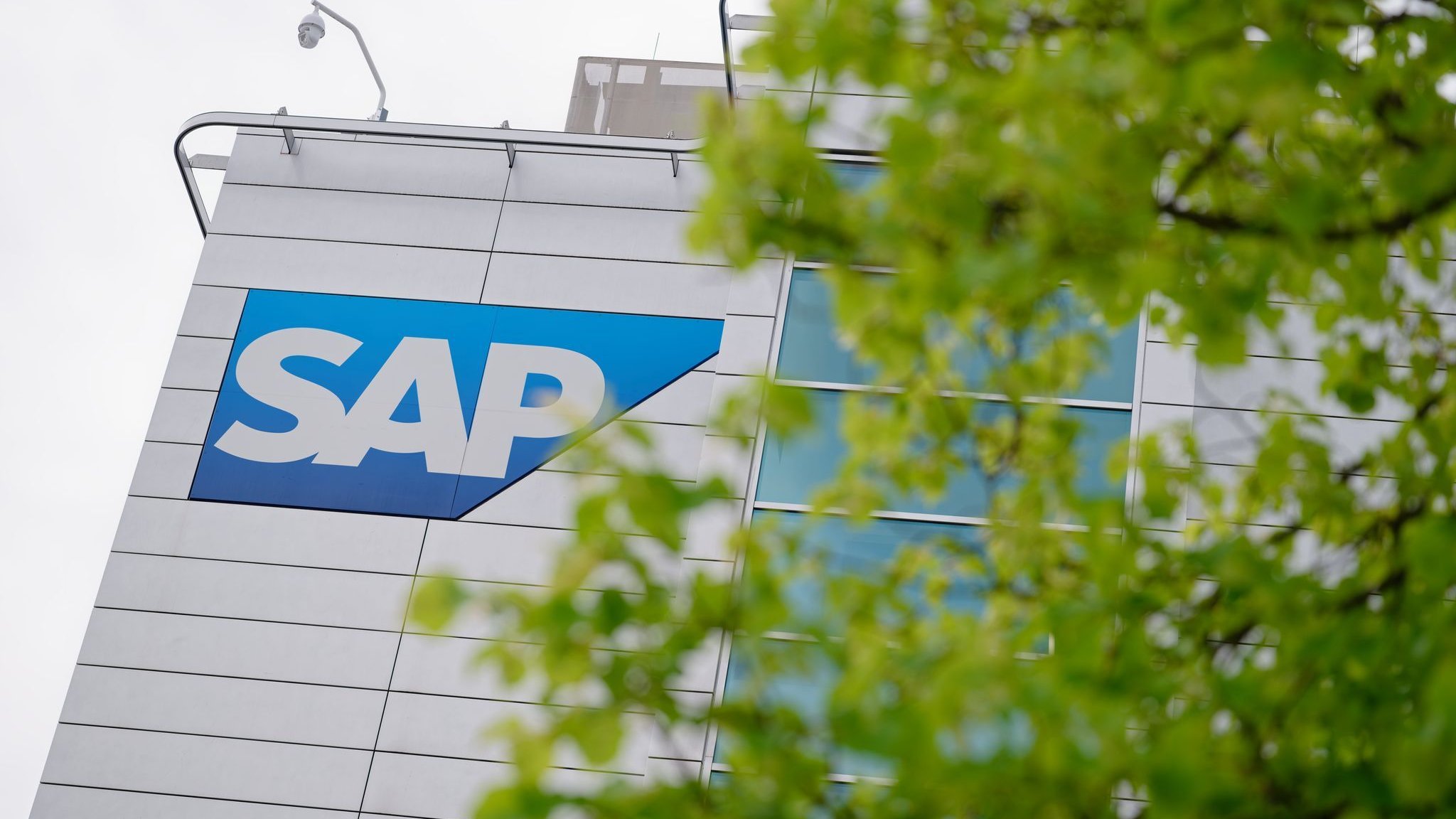 Grupo de software: gigante Dax en descenso - Por qué la parte SAP se estrelló