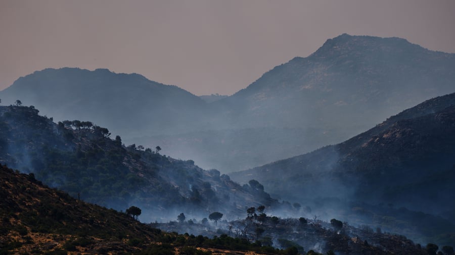 Les incendies de forêt en France et en Espagne – 240 000 personnes évacuées
