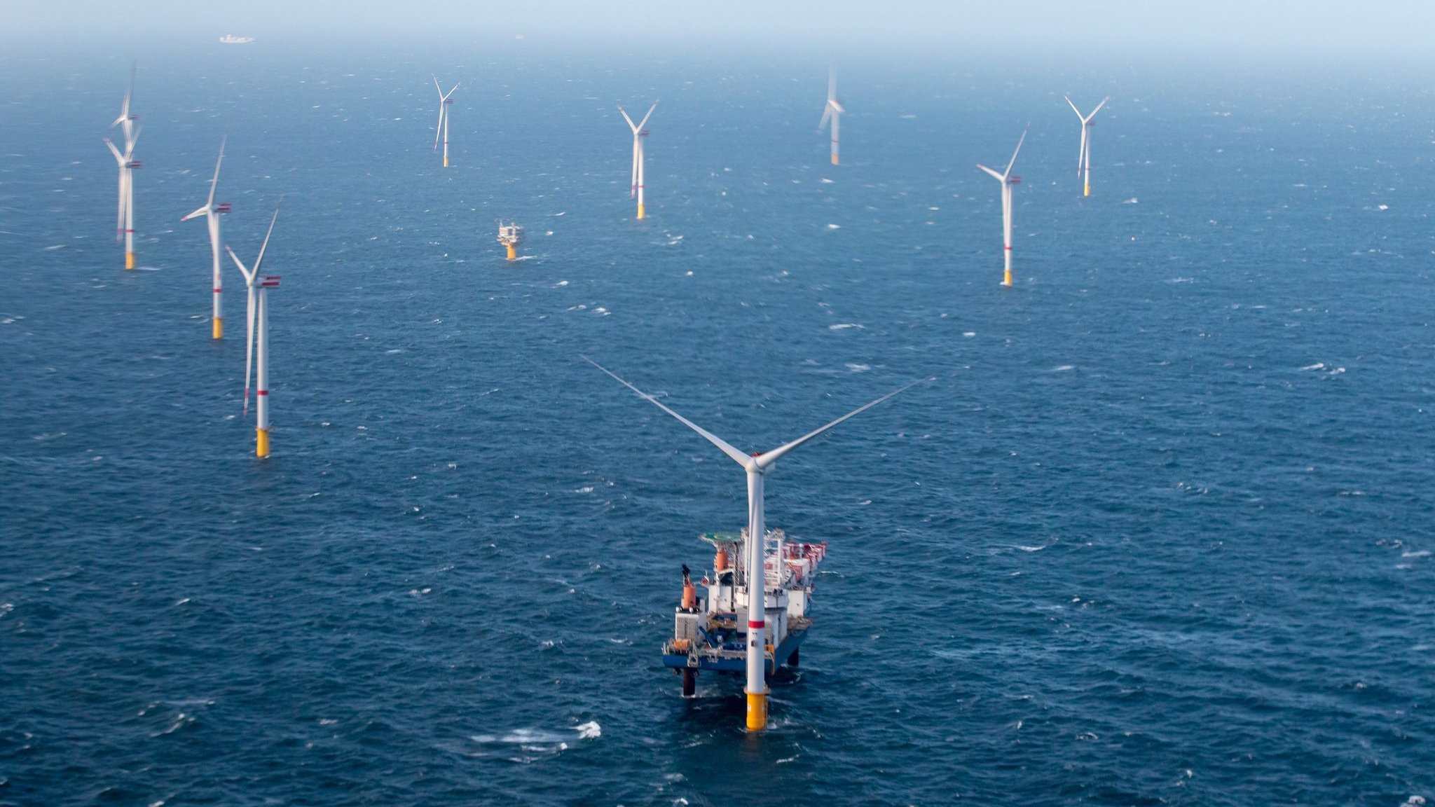 Less wind power at sea?: EnBW chief calls for correction in wind power expansion targets
