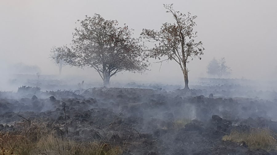 Fuegos forestales: fuego en el Alto Fenn – 30 residentes evacuados de Monschau