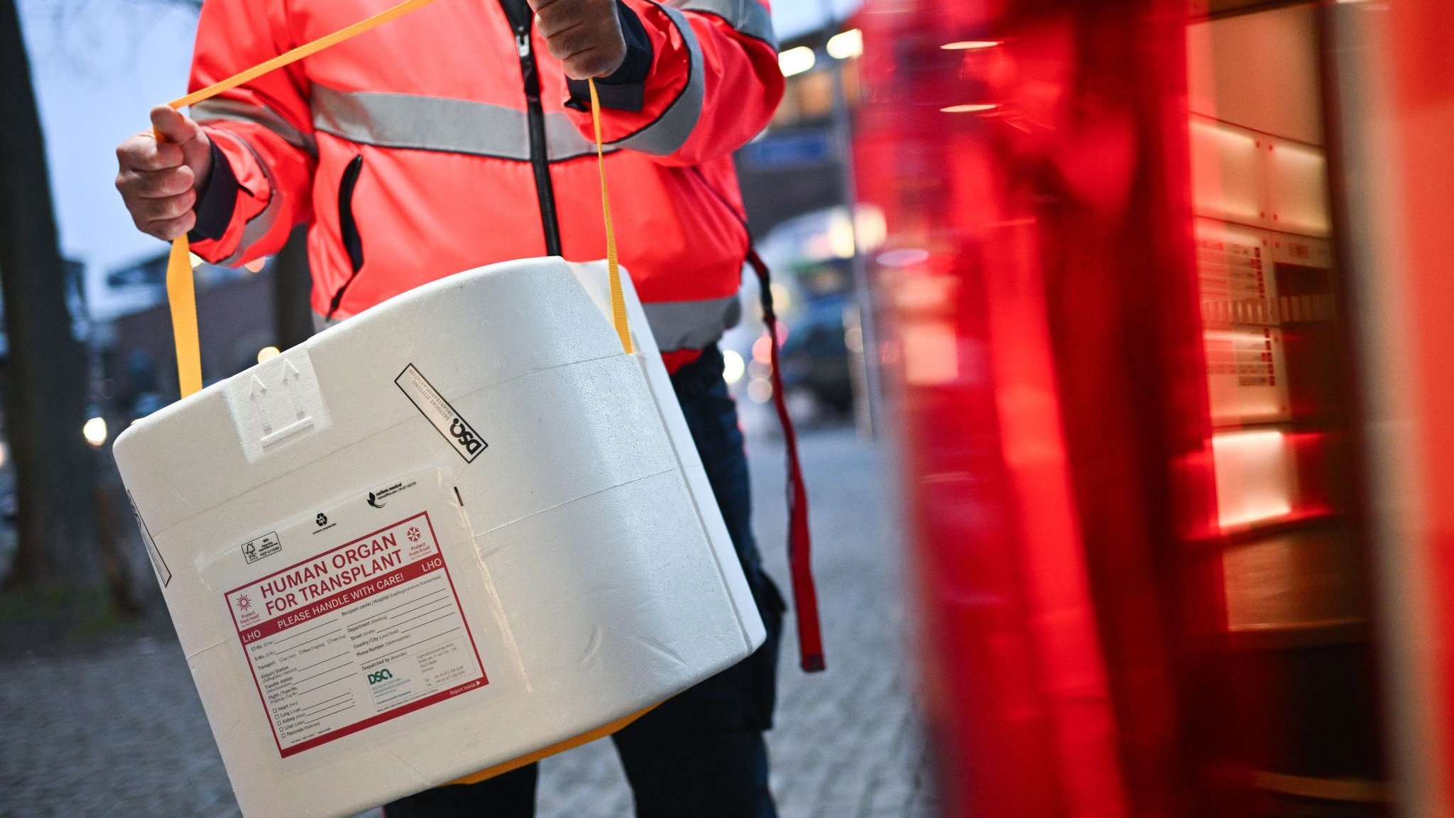 Health: More than 200 MPs for new organ donation rules