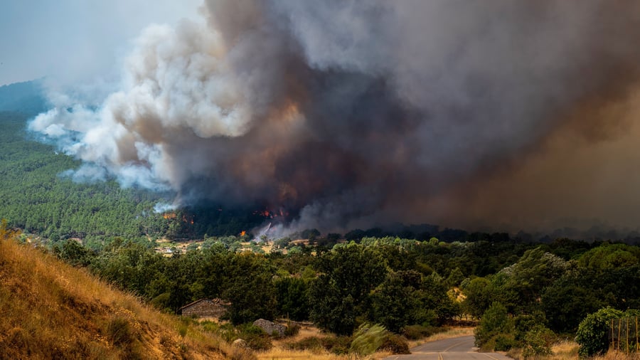 Feu: Les feux de forêt continuent de faire rage en Espagne et en France