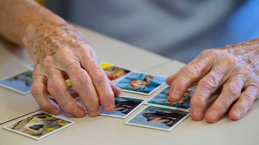Municipalities: Care reform: City Day calls for conversion to full insurance