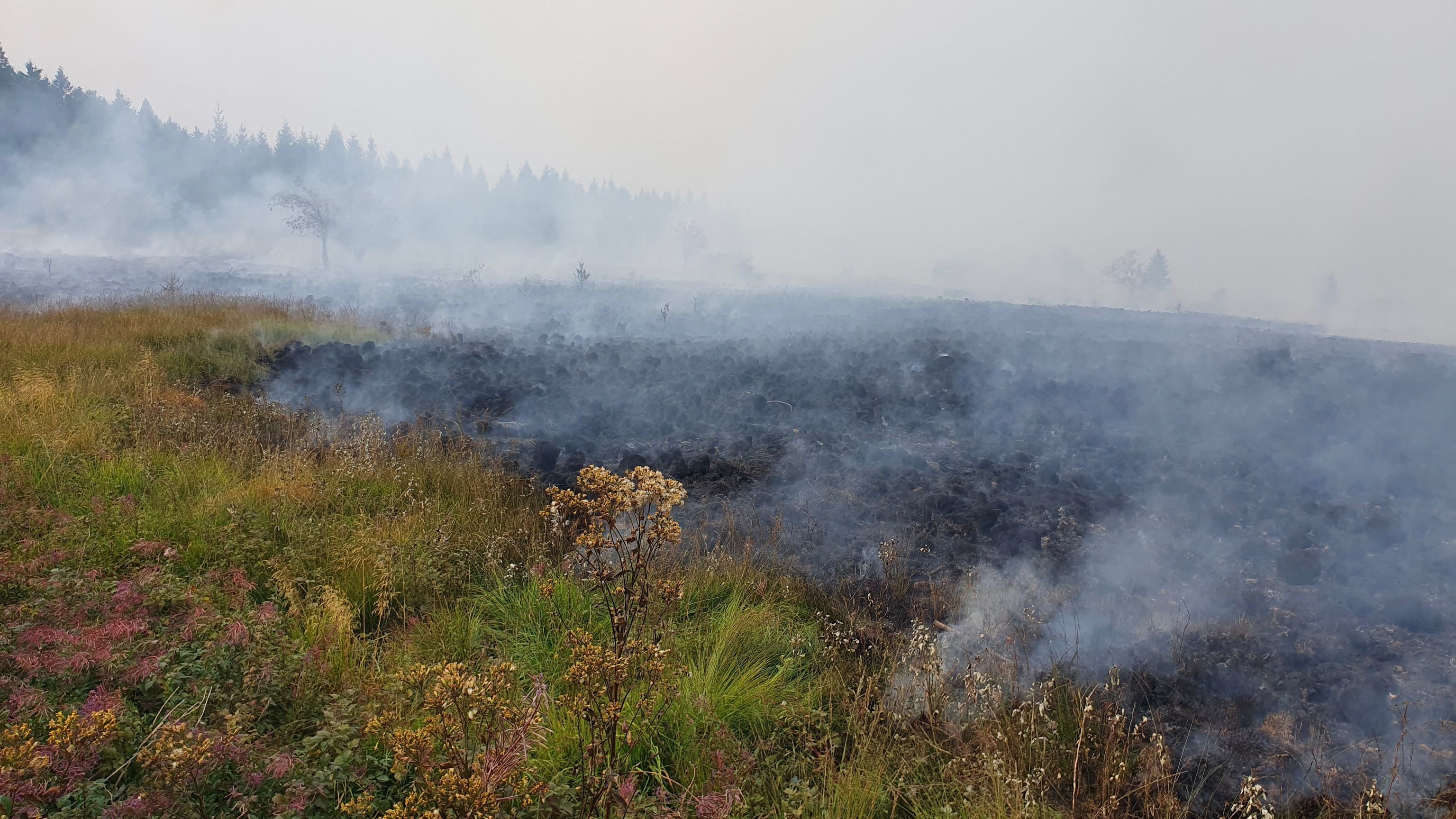 Large fires: Location in Monschau and Hürtgenwald relaxes