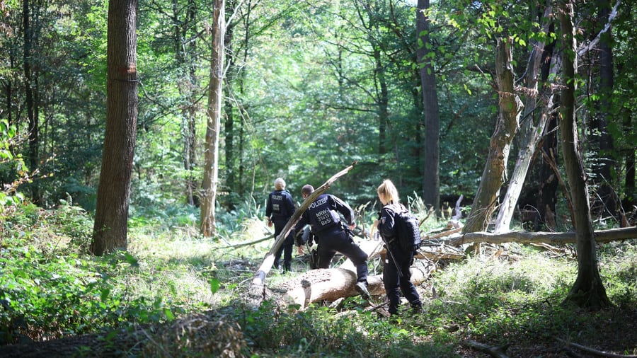 Recherche criminelle pour le sabotage de l'électricité: l'opération policière à grande échelle à Hambach Forest se termine sans succès