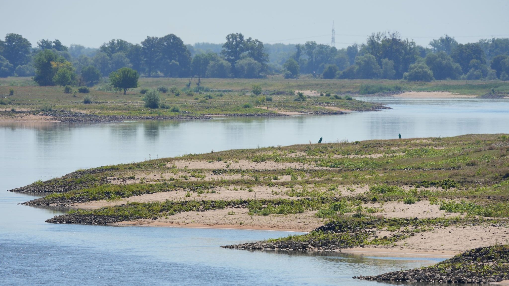 Logistics: Low water: rail offers help with more freight trains