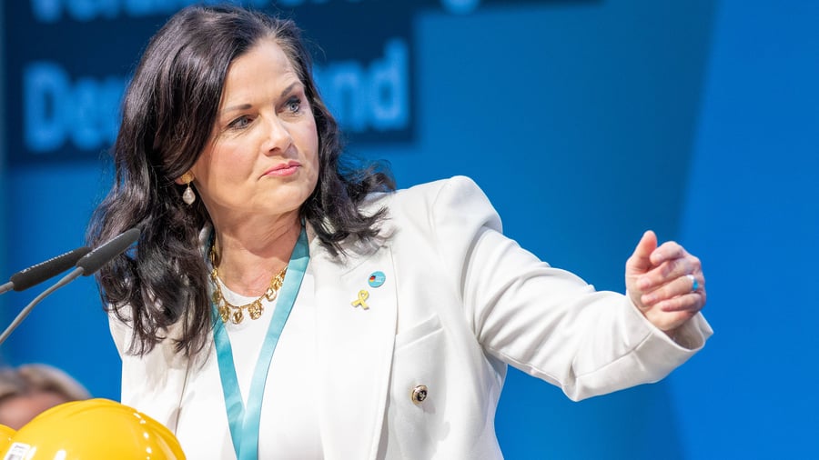 CDU: The SME Commissioner wants to help the companies – Often their own government gets in the way