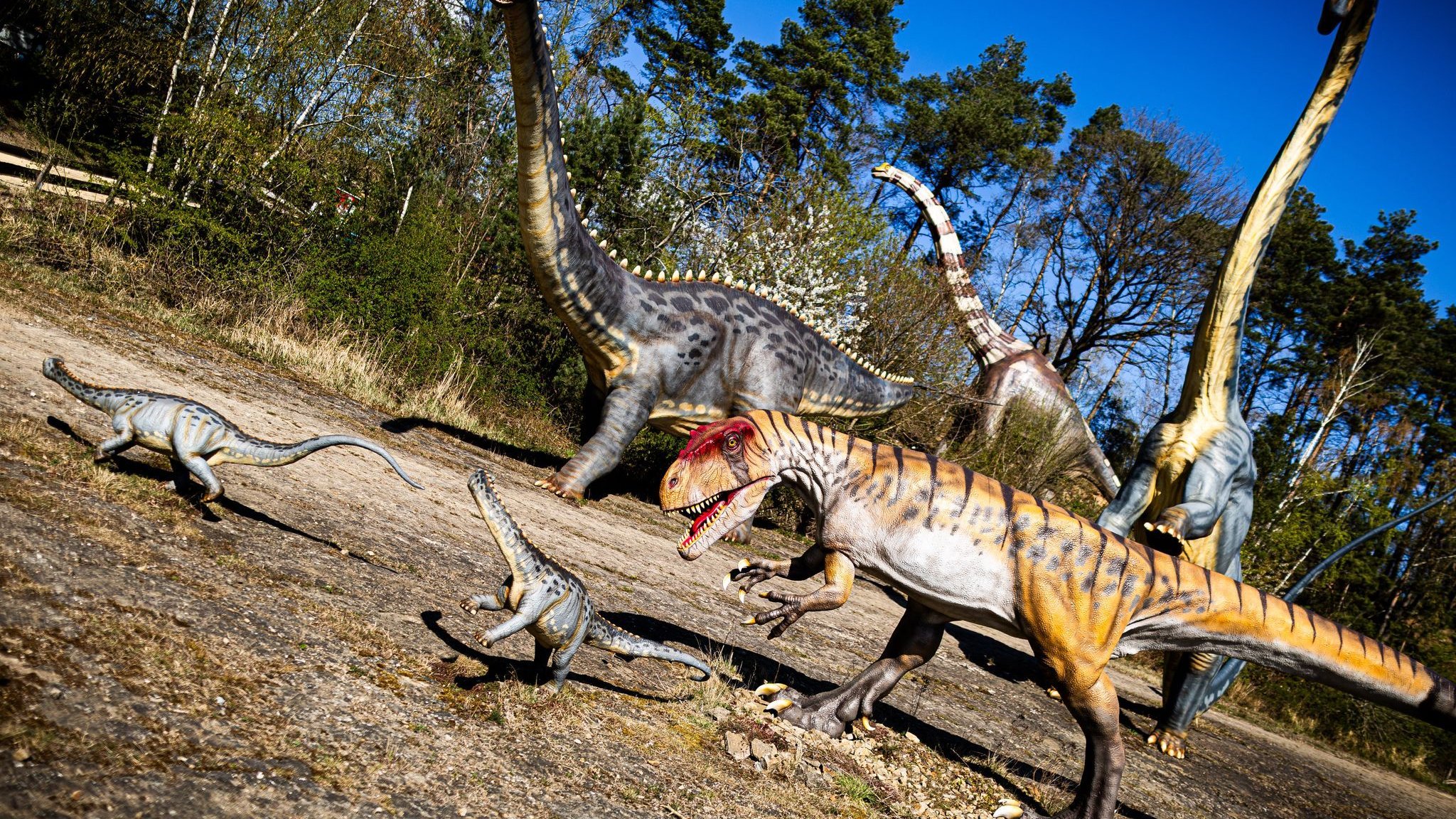 Fossils: Why Dinosaurs Were Never as Small as a Mouse