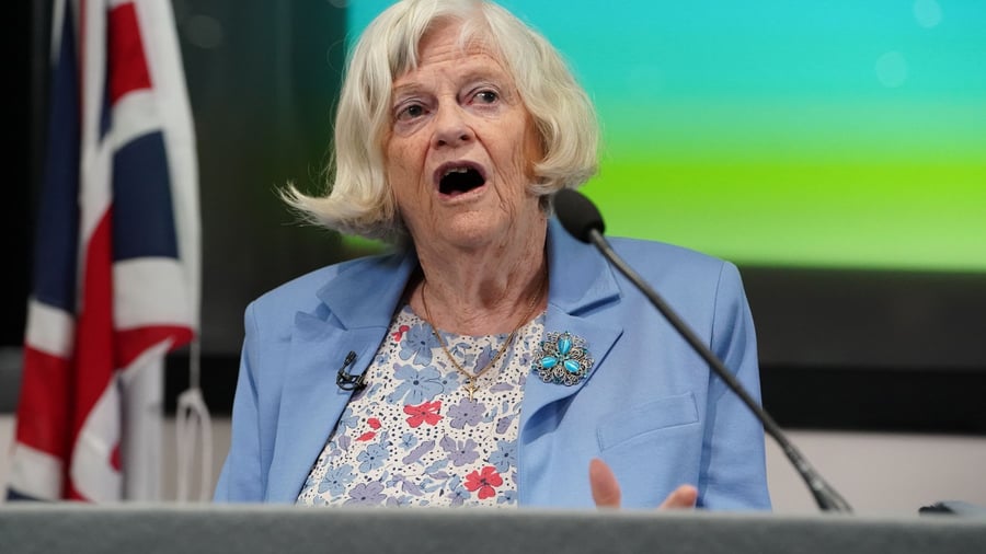 Alleged perpetrator fugitive: Murder investigation after mysterious death of Brexit politician