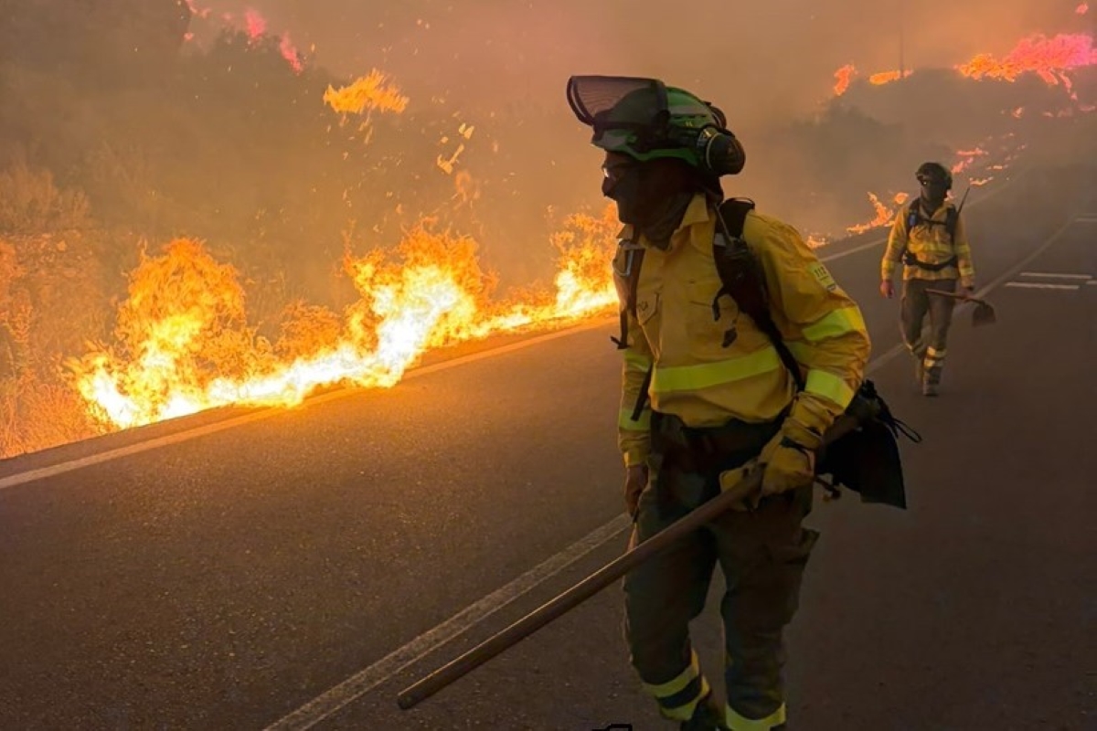 Forest fire leaves at least 12 dead in Spain