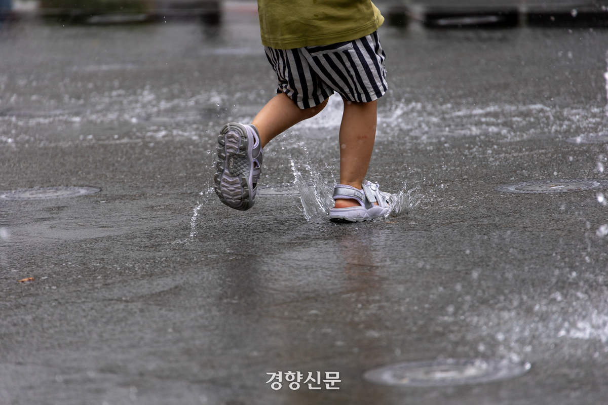 Gangwon inland·mountain areas up to 60mm of heavy rain... daytime high 31 degrees