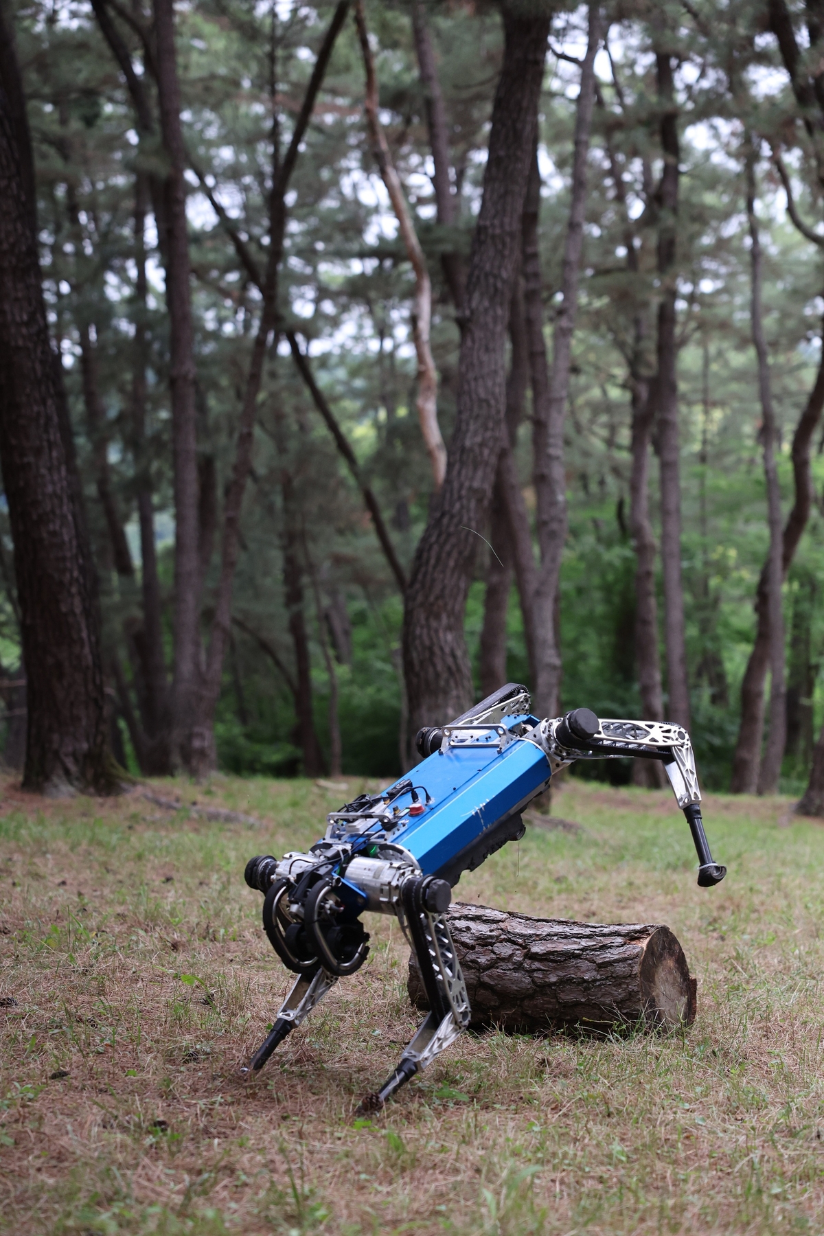 Implementation of a quadrupedal robot that judges situations on its own and runs and jumps... KAIST develops control technology