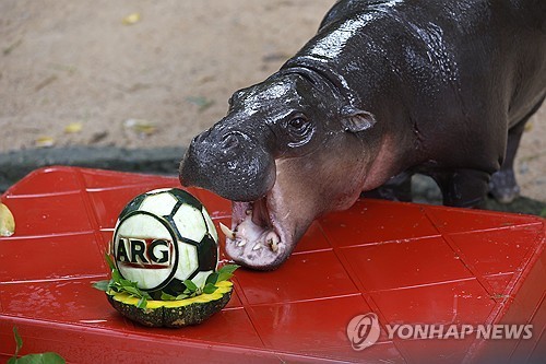 Yonhap News Agency