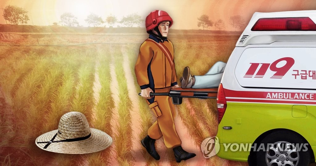 Yonhap News Agency