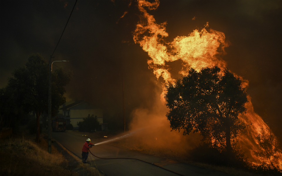 Livra considère que la saison des incendies recommande de ne pas remplacer Luís Neves