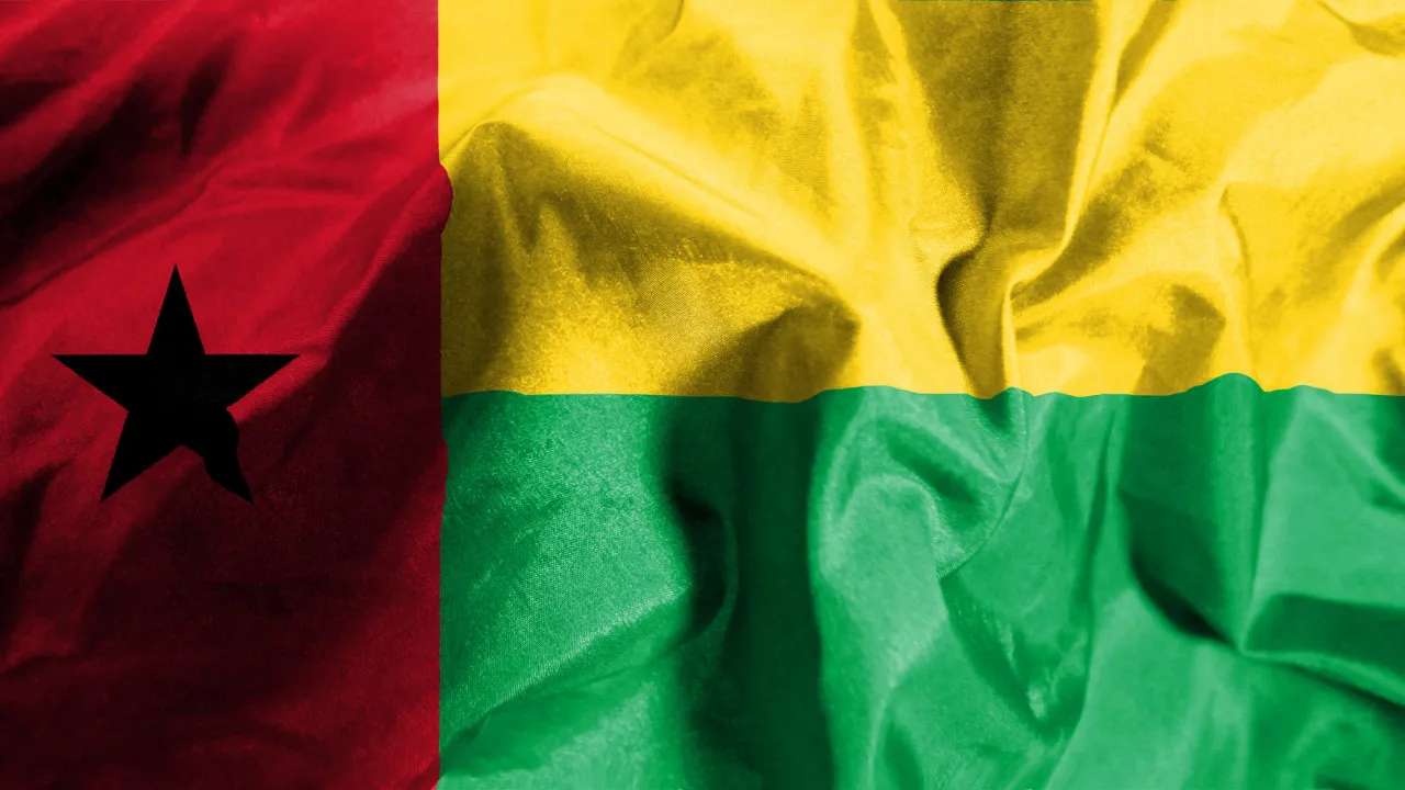 Opposition alleges ECOWAS of interference in Guinea-Bissau