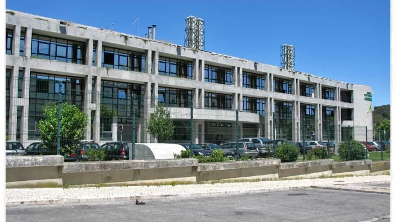 Cámara de Abrantes critica intervención en ribera sin licencia de la APA