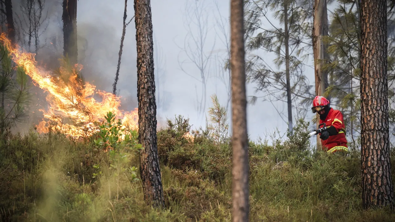 Arrested man who caused fire in Customs of Faith with motorbike