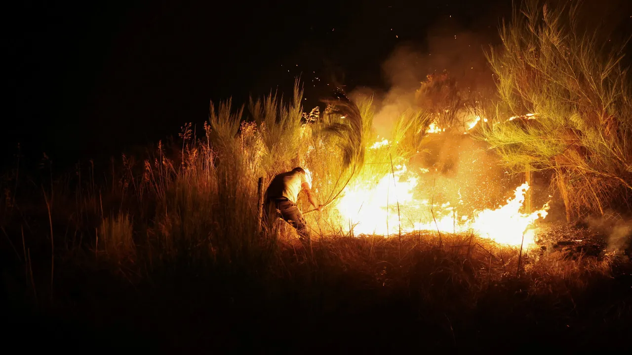 Fire that started in Vouzela with five fronts: "Very complicated night"