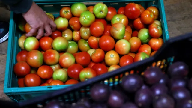 Exportaciones de frutas, verduras y flores caen 3,5% hasta junio