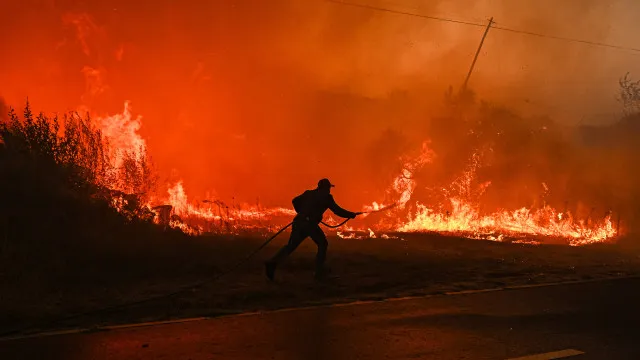 Almost 170 operatives fight flames in Anxiety Carrazeda
