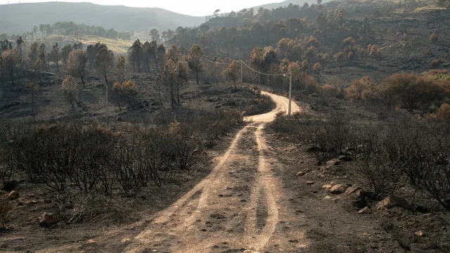 Thirteen municipalities of the North, Center and Algarve in maximum fire danger