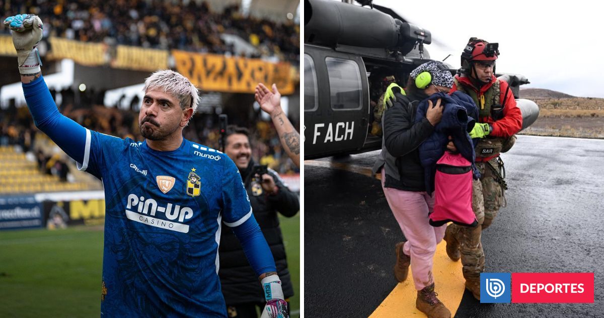 Mono solidar: Diego Sánchez lance une campagne d'aide aux travailleurs du secteur des dommages à Coquimbo